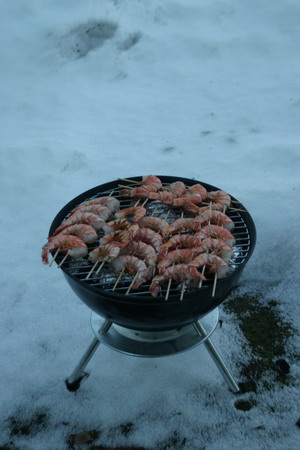 Bbq-en in de sneeuw